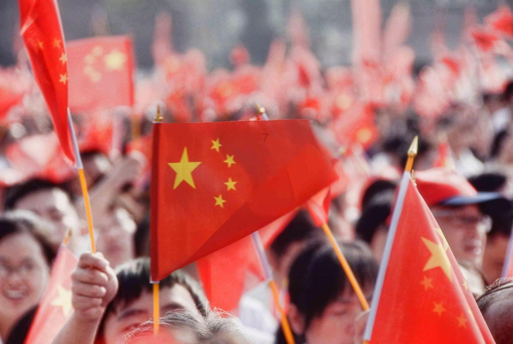 可爱的小考拉